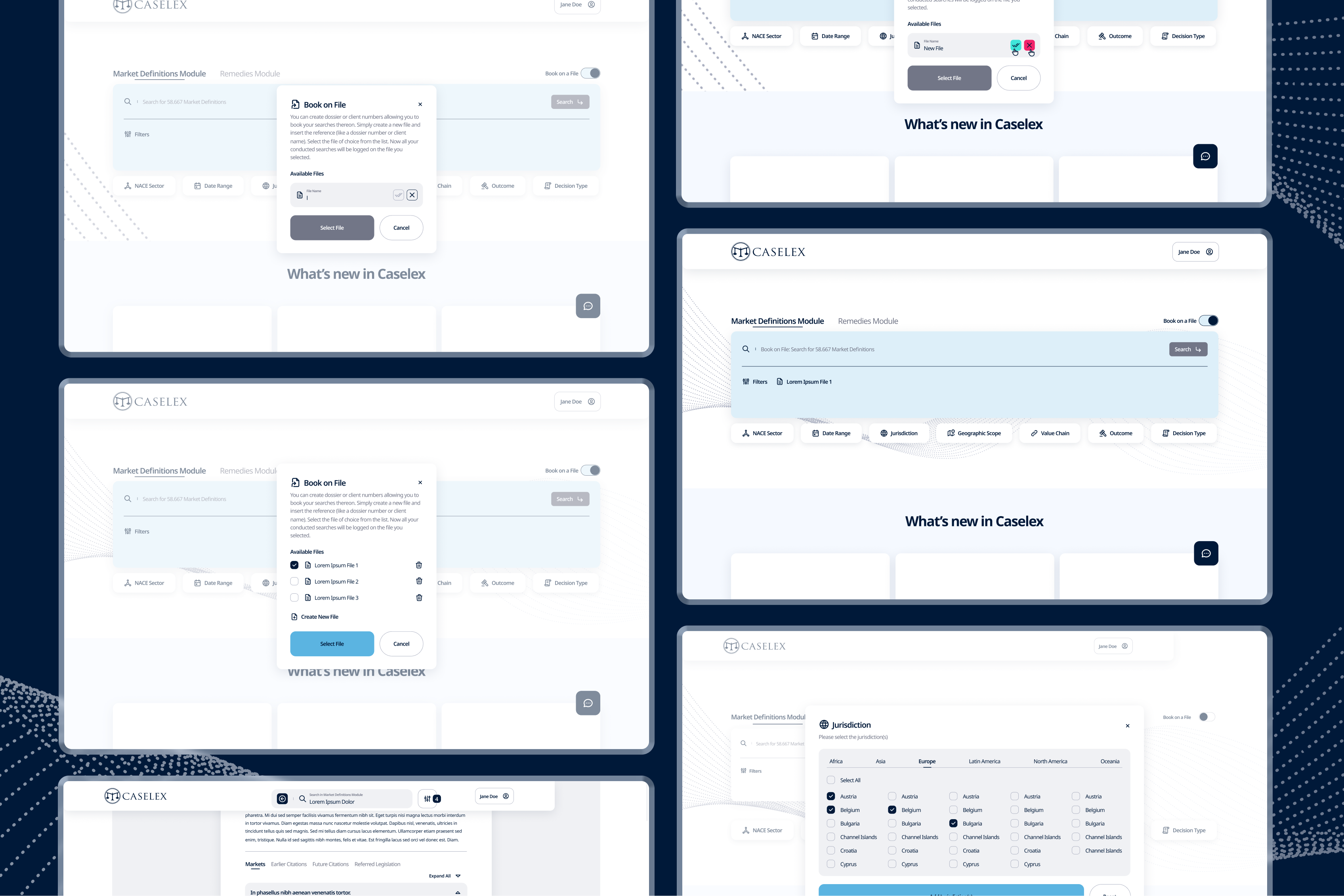 Caselex Market Definitions search interface