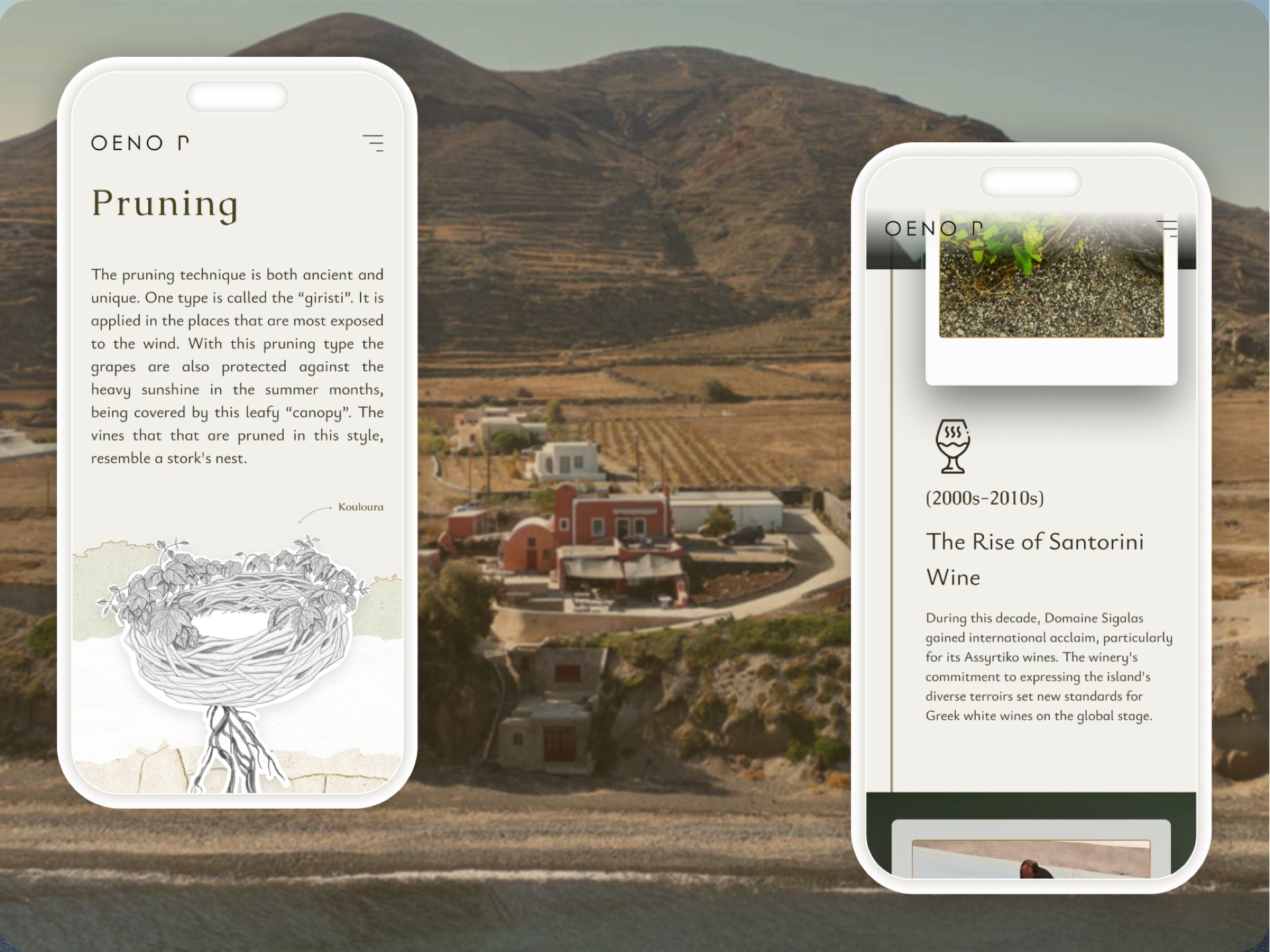 Two iPhone mockups in front of a Santorini hillside — the Pruning article on one screen, the Rise of Santorini Wine timeline on the other