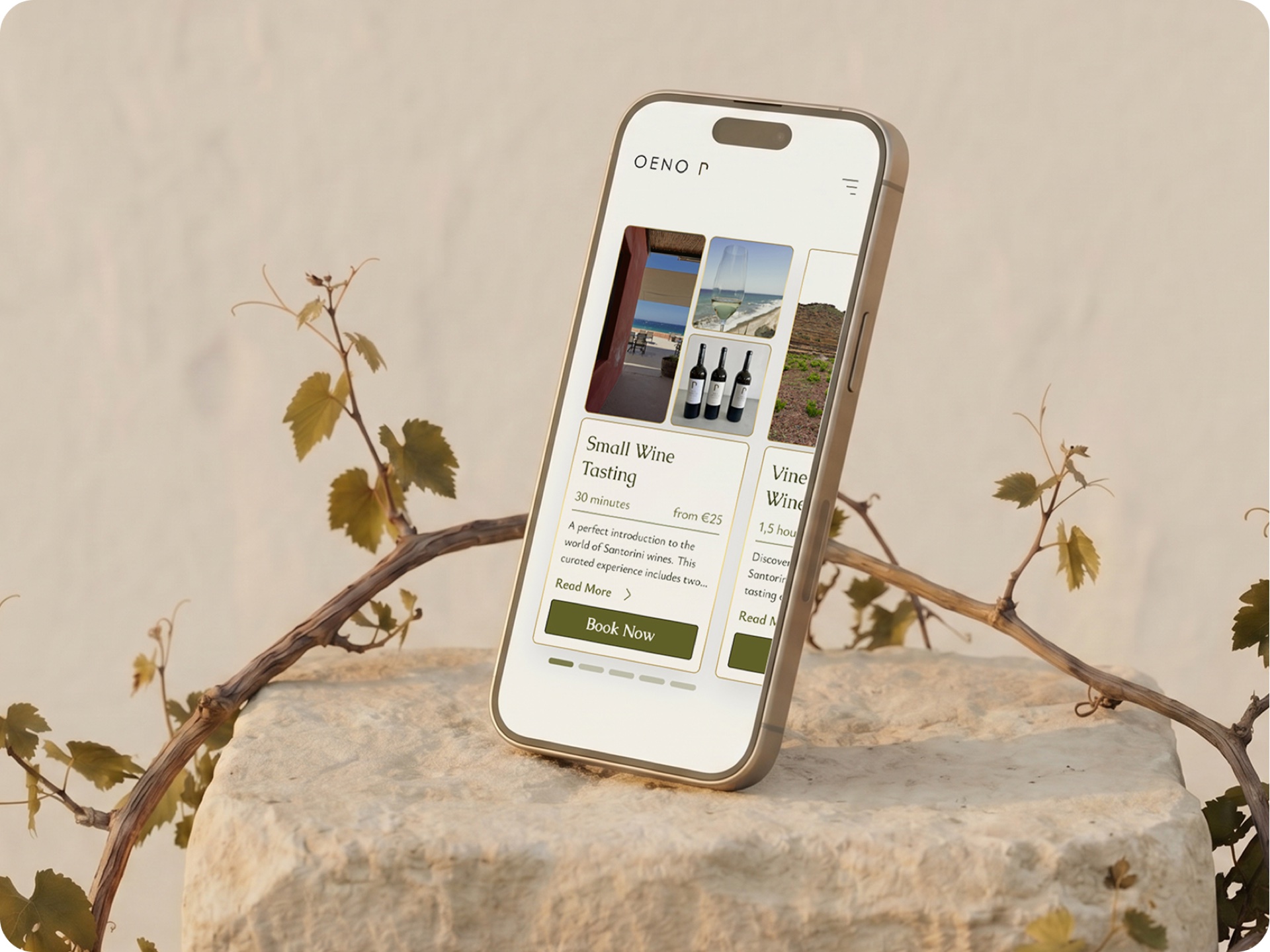 iPhone on a stone pedestal showing the Small Wine Tasting booking flow — pricing, duration and a 'Book Now' action above a vine