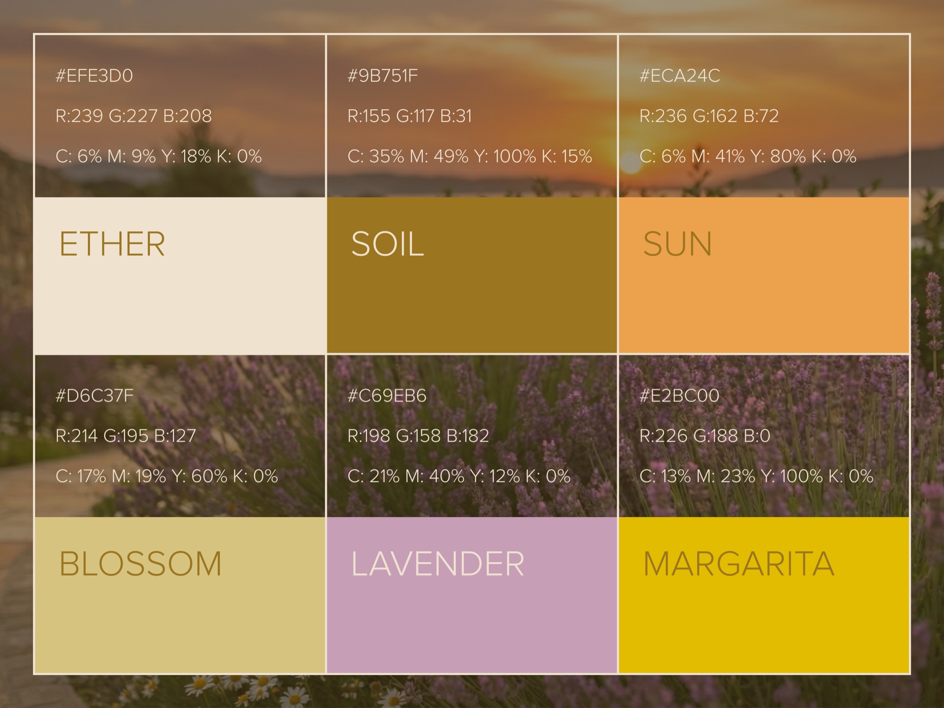 Valeria's House brand colour system over a lavender-field sunset — Ether cream, Soil olive, Sun amber, Blossom rose, Lavender and Margarita yellow
